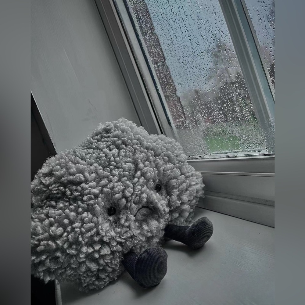 Jellycat Amuseable Storm Cloud Collectible Brand New with Tags (BNWT)